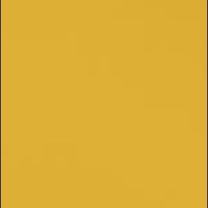 Meet your Posher, Alexus